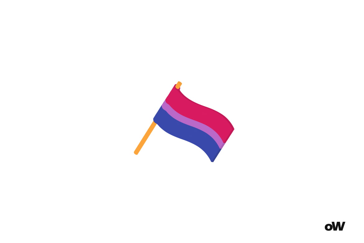 Am i bisexual quiz flag