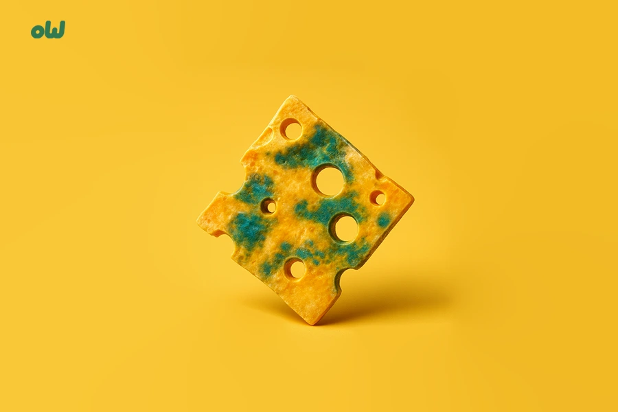 which diary of a wimpy kid character are you quiz